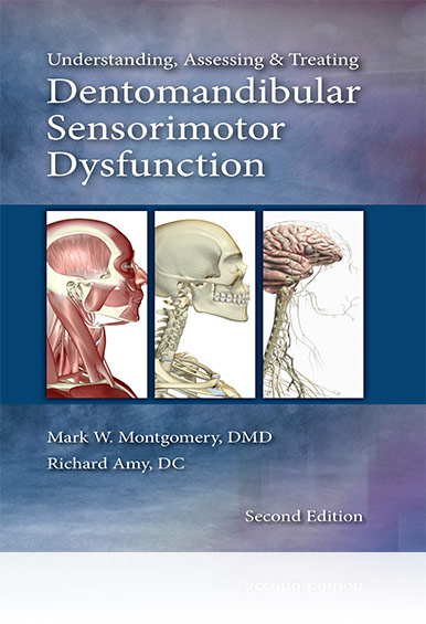 DMSD Guide book cover
